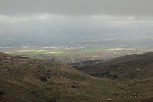 IMG_2384
